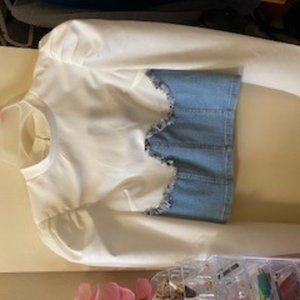 Fashion Nova Top (Small)